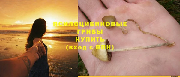 спайс Абдулино